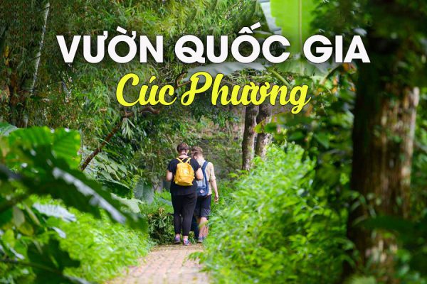 Vườn Quốc gia cúc phương ở đâu