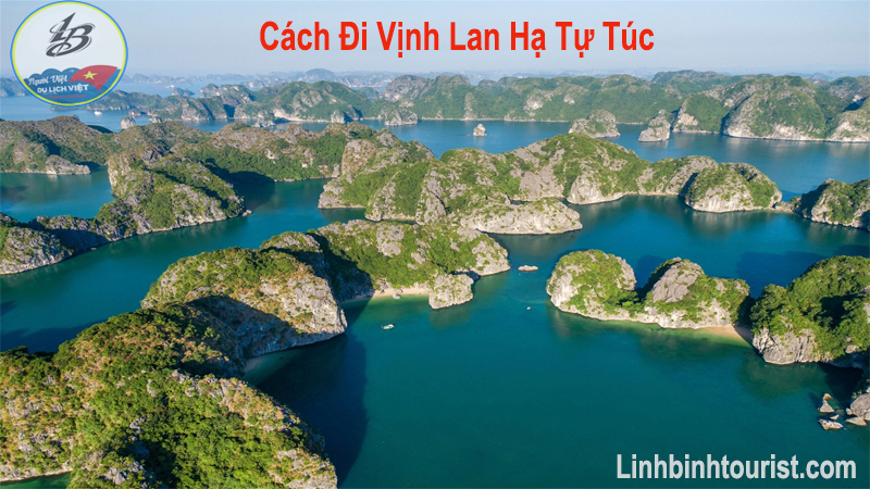 Cách Đi Vịnh Lan Hạ Tự Túc