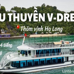 Tour du thuyền Hạ Long nửa ngày