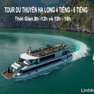 Tour du thuyền Hạ Long nửa ngày