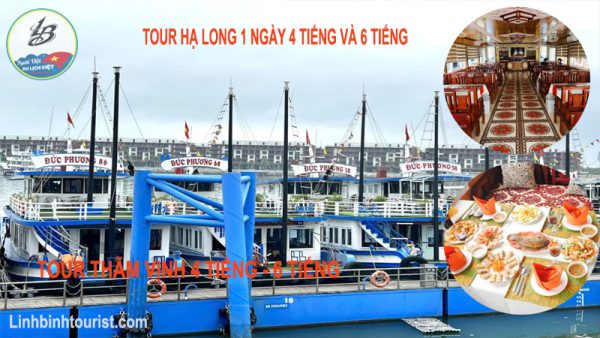 Tour Thăm Vịnh Hạ Long 4 tiếng và 6 tiếng