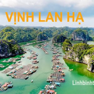 Tour du lịch Cát Bà 1 ngày