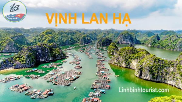 Tour du lịch Cát Bà 1 ngày