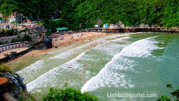 Tour du lịch Cát Bà 1 ngày