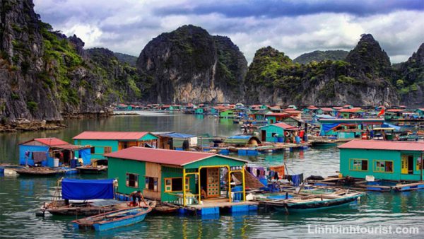 Làng Chài Nổi Vịnh Hạ Long