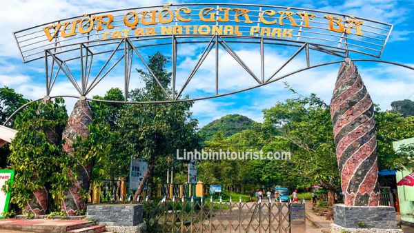 Tour Du Lịch Cát Bà 3 Ngày 2 Đêm