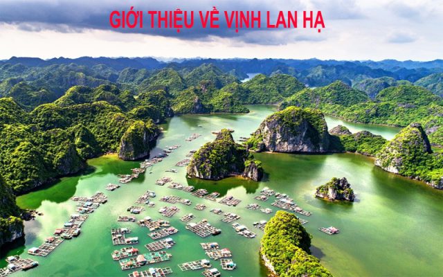 Giới thiệu Vịnh Lan Hạ