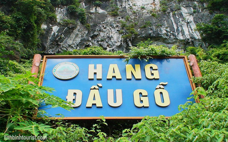 Hang Đầu Gỗ