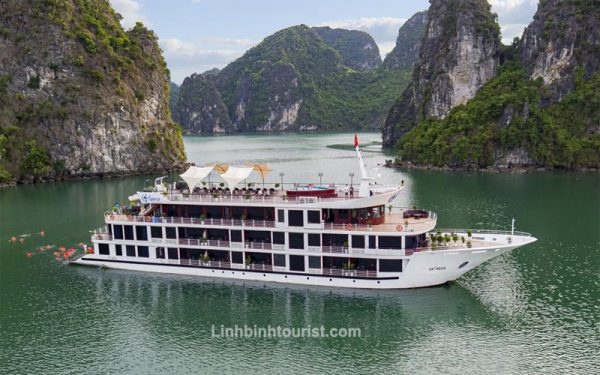 Du thuyền Aspira Cruises Hạ Long