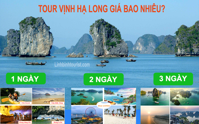 Tour thăm Vịnh Hạ Long