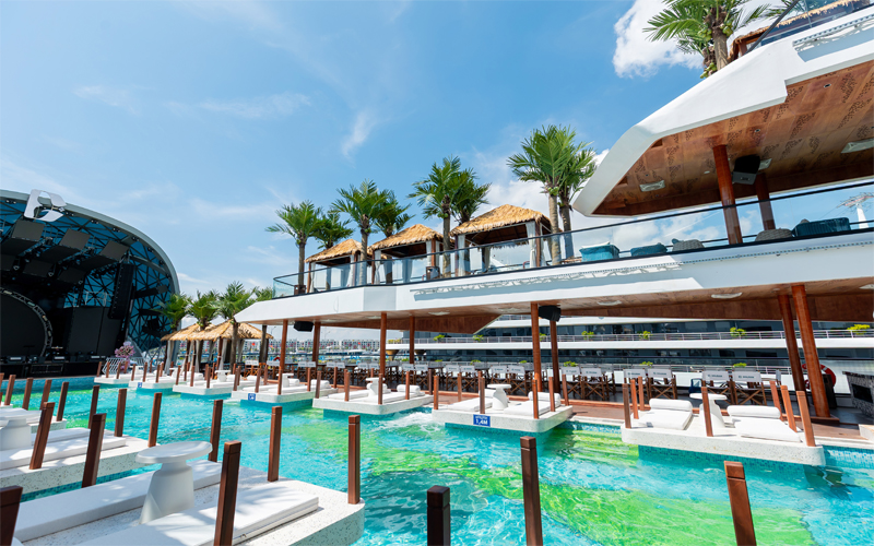 Du thuyền Dolphin Cruise