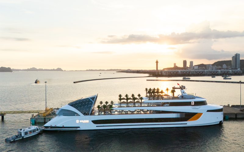 Du thuyền Dolphin Cruise