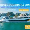 Du thuyền Dolphin Cruise Hạ Long