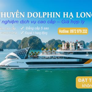 Du thuyền Dolphin Cruise Hạ Long
