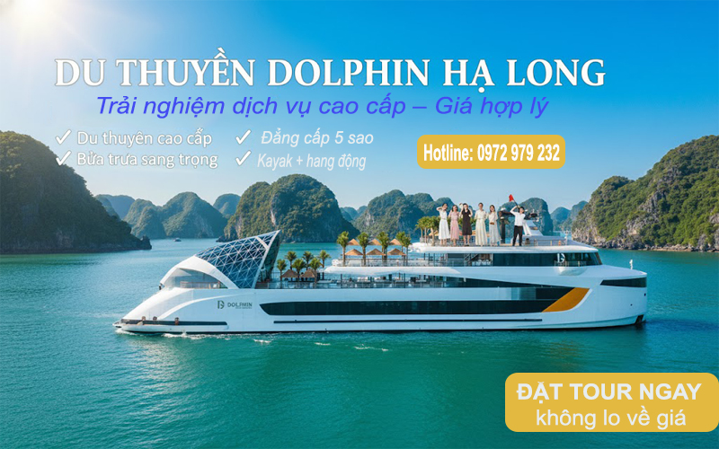 Du thuyền Dolphin Cruise Hạ Long
