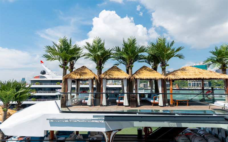 Du thuyền Dolphin Cruise Hạ Long